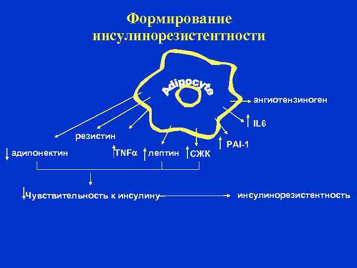 Схема при инсулинорезистентности корнилова