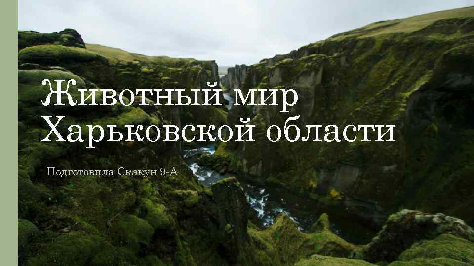 Животный мир Харьковской области Подготовила Скакун 9 -А 