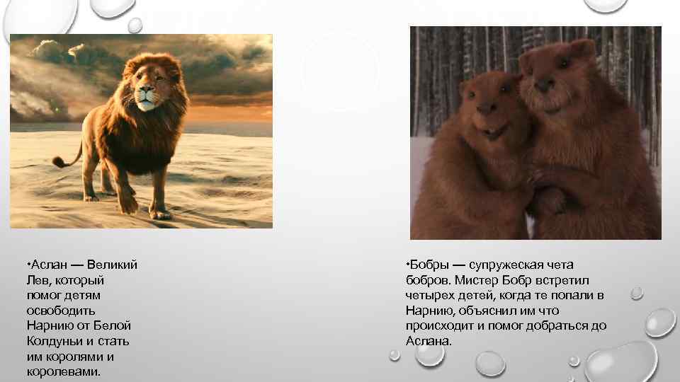  • Аслан — Великий Лев, который помог детям освободить Нарнию от Белой Колдуньи