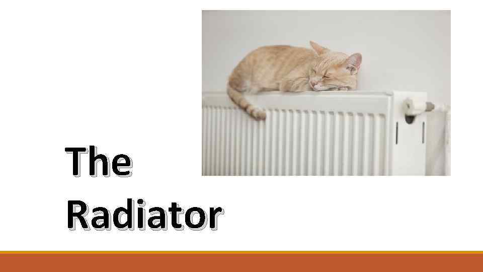 The Radiator 
