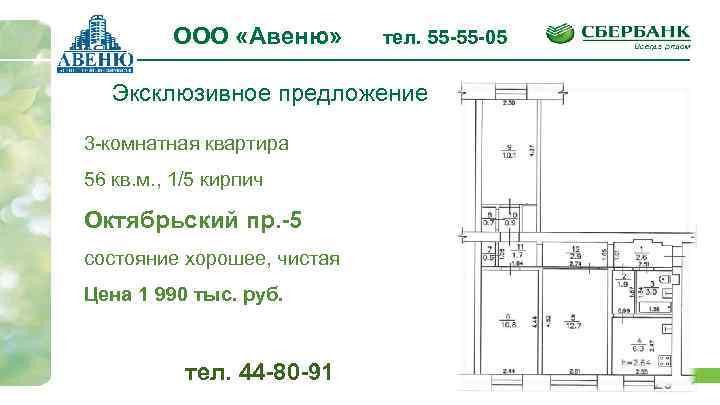ООО «Авеню» тел. 55 -55 -05 Эксклюзивное предложение 3 -комнатная квартира 56 кв. м.