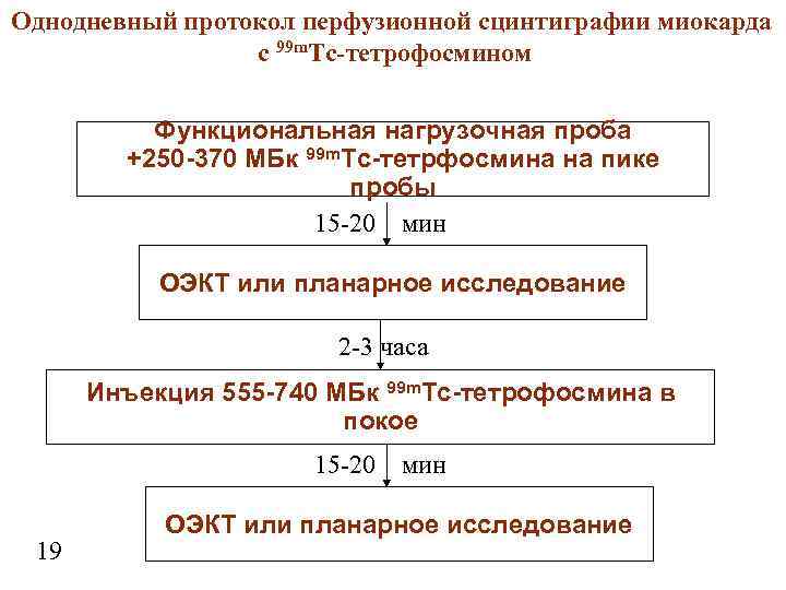Однодневный протокол перфузионной сцинтиграфии миокарда с 99 m. Тc-тетрофосмином Функциональная нагрузочная проба +250 -370