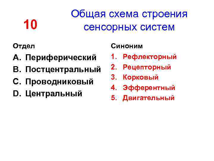 10 Общая схема строения сенсорных систем Отдел Синоним A. B. C. D. 1. 2.