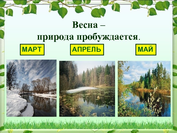 Весна – природа пробуждается. МАРТ АПРЕЛЬ МАЙ 