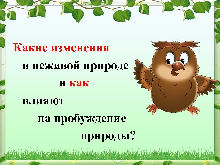 Какие изменения в неживой природе и как влияют на пробуждение природы? 