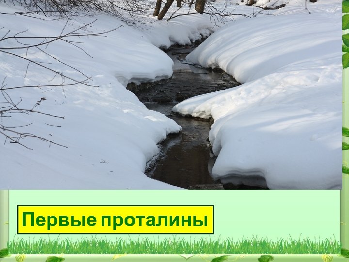 Первые проталины 