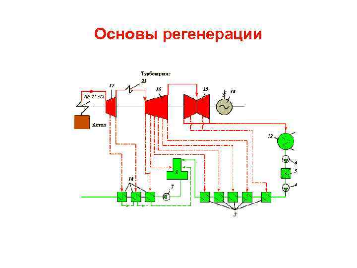 Основы регенерации 