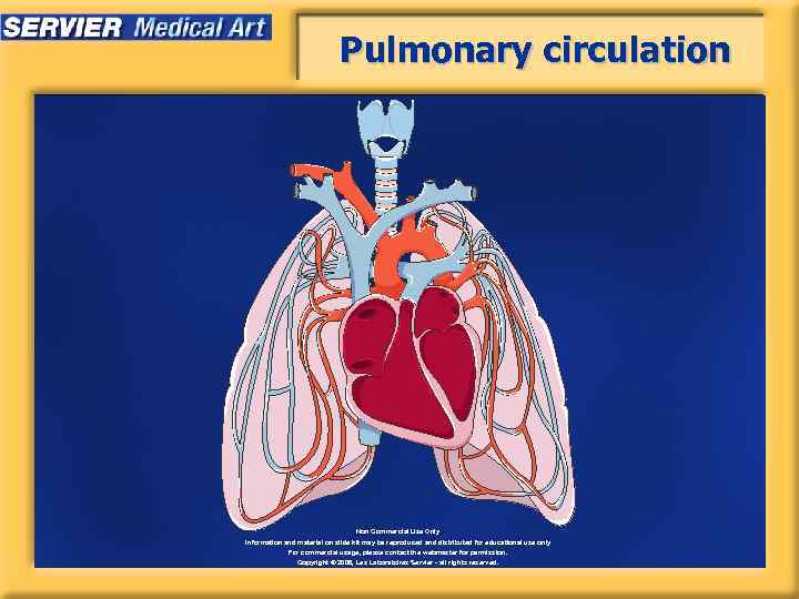 Pulmonary circulation Non Commercial Use Only Information and material on slide kit may be