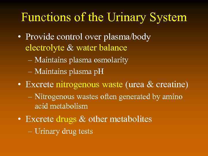 Functions of the Urinary System • Provide control over plasma/body electrolyte & water balance