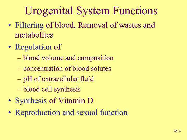 Urogenital System Functions • Filtering of blood, Removal of wastes and metabolites • Regulation