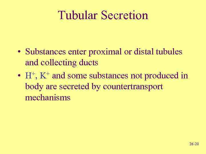 Tubular Secretion • Substances enter proximal or distal tubules and collecting ducts • H+,