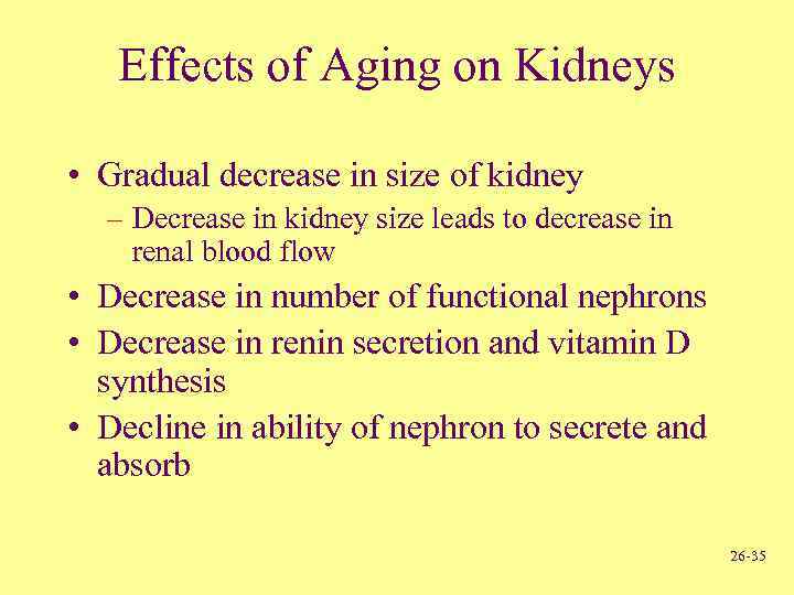 Effects of Aging on Kidneys • Gradual decrease in size of kidney – Decrease