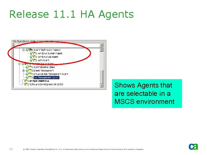 Release 11. 1 HA Agents Shows Agents that are selectable in a MSCS environment
