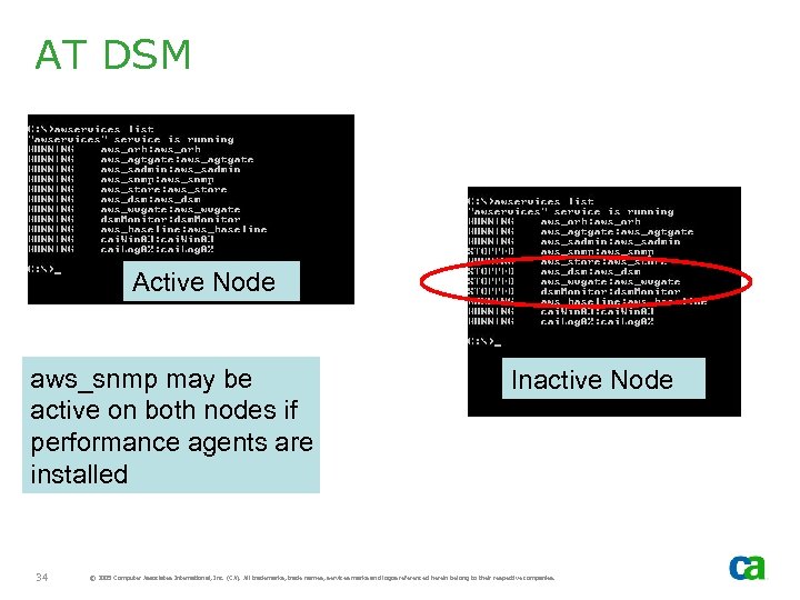 AT DSM Active Node aws_snmp may be active on both nodes if performance agents