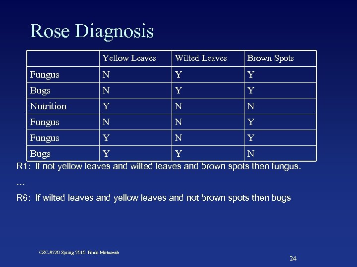 Rose Diagnosis Yellow Leaves Wilted Leaves Brown Spots Fungus N Y Y Bugs N