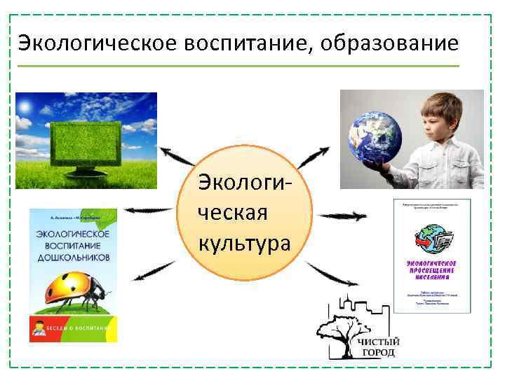 Экологическое воспитание, образование Экологическая культура 