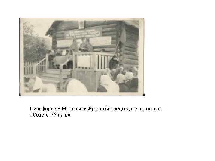 Никифоров А. М. вновь избранный председатель колхоза «Советский путь» 