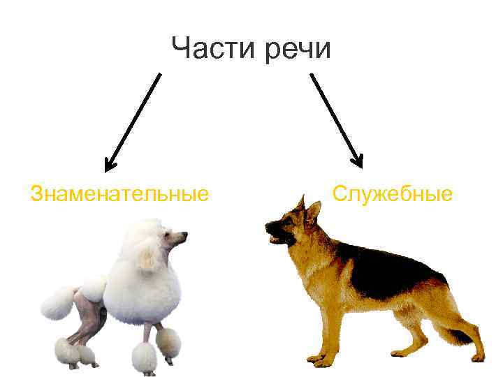 Части речи Знаменательные Служебные 