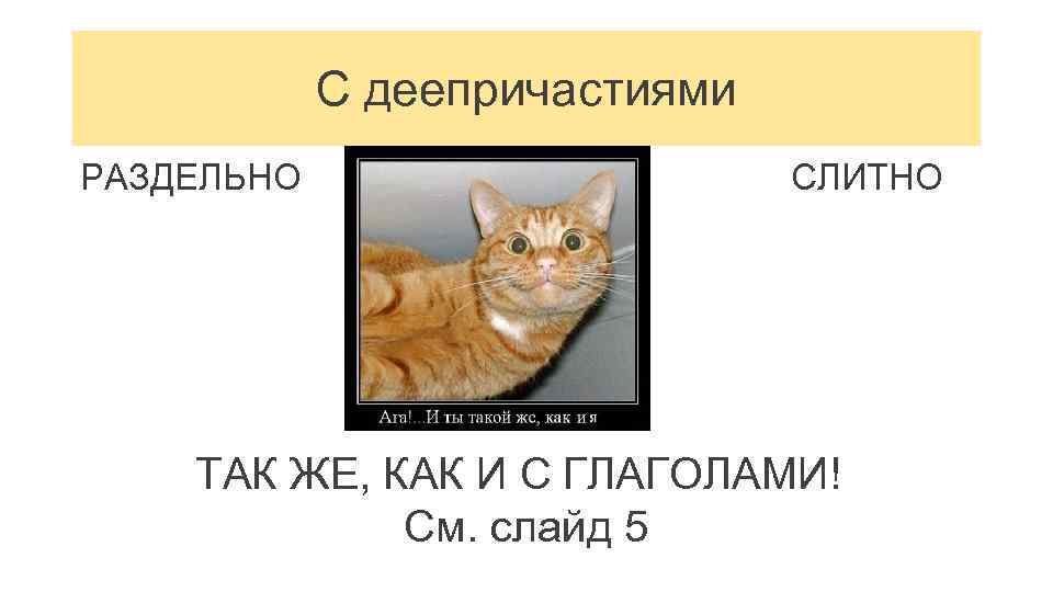 С деепричастиями РАЗДЕЛЬНО СЛИТНО ТАК ЖЕ, КАК И С ГЛАГОЛАМИ! См. слайд 5 