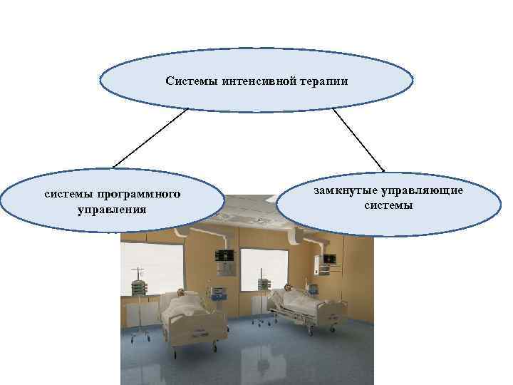 Системы интенсивной терапии системы программного управления замкнутые управляющие системы 