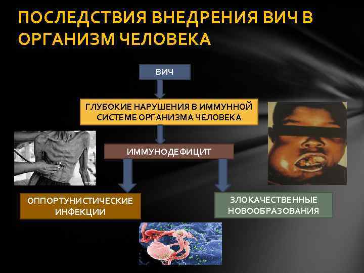 ПОСЛЕДСТВИЯ ВНЕДРЕНИЯ ВИЧ В ОРГАНИЗМ ЧЕЛОВЕКА ВИЧ ГЛУБОКИЕ НАРУШЕНИЯ В ИММУННОЙ СИСТЕМЕ ОРГАНИЗМА ЧЕЛОВЕКА