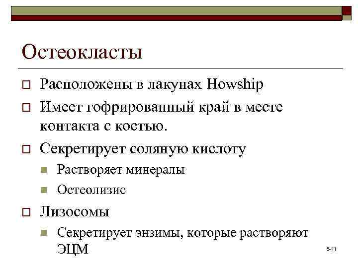 Остеокласты o o o Расположены в лакунах Howship Имеет гофрированный край в месте контакта