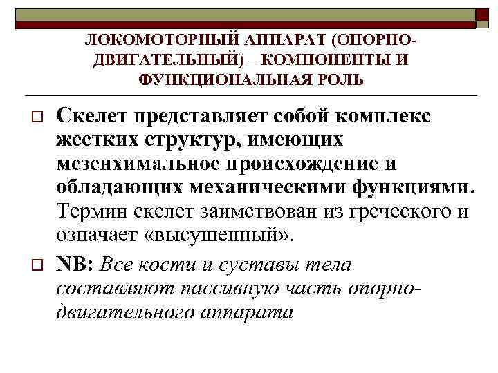 ЛОКОМОТОРНЫЙ АППАРАТ (ОПОРНОДВИГАТЕЛЬНЫЙ) – КОМПОНЕНТЫ И ФУНКЦИОНАЛЬНАЯ РОЛЬ o o Скелет представляет собой комплекс