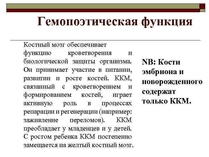 Гемопоэтическая функция Костный мозг обеспечивает функцию кроветворения и биологической защиты организма. Он принимает участие