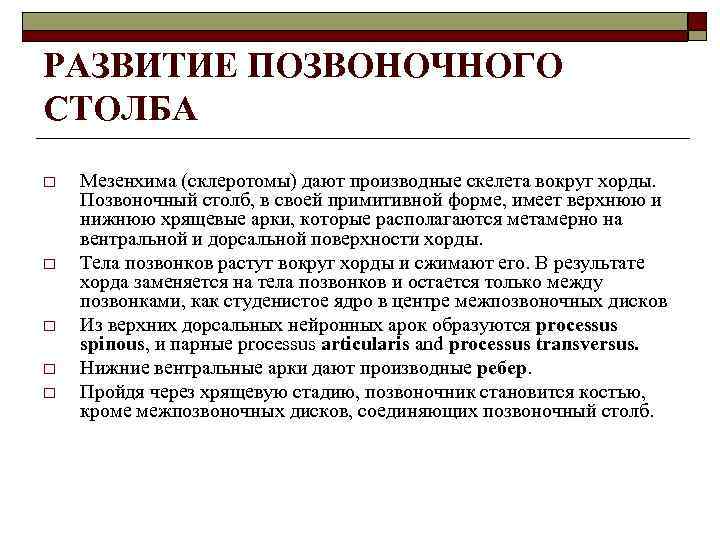 РАЗВИТИЕ ПОЗВОНОЧНОГО СТОЛБА o o o Мезенхима (склеротомы) дают производные скелета вокруг хорды. Позвоночный