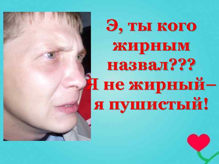 Э, ты кого жирным назвал? ? ? Я не жирный– я пушистый! 