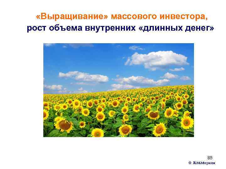  «Выращивание» массового инвестора, рост объема внутренних «длинных денег» 85 © Я. М. Миркин