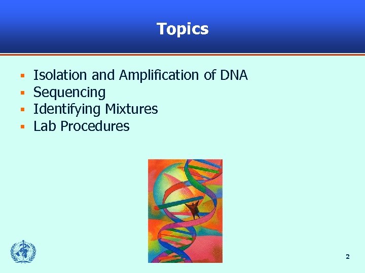Topics § § Isolation and Amplification of DNA Sequencing Identifying Mixtures Lab Procedures 2