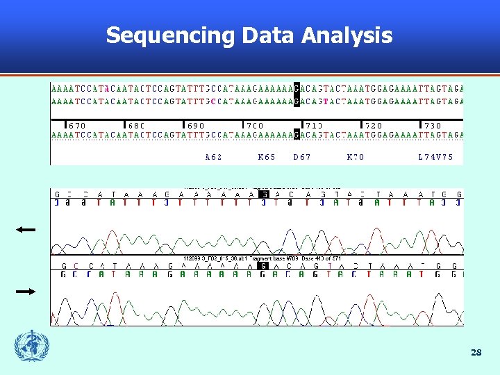 Sequencing Data Analysis 28 