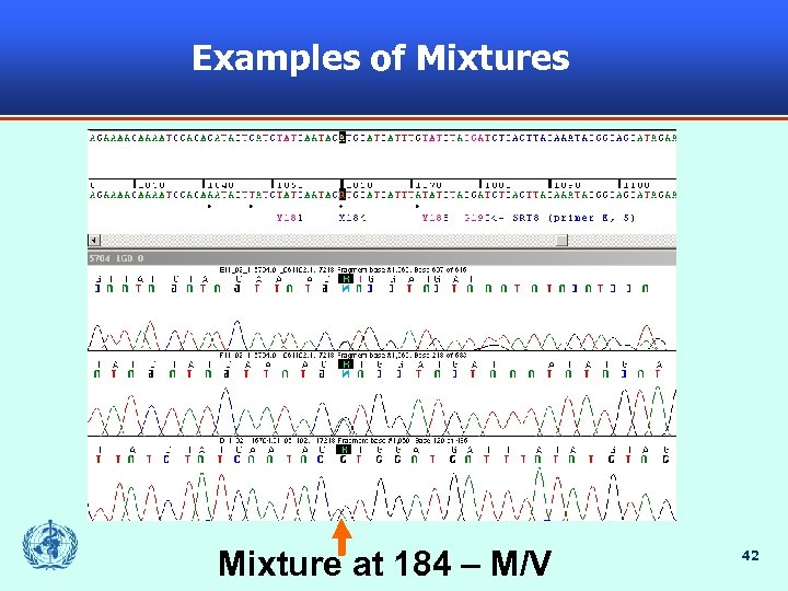 Examples of Mixtures Mixture at 184 – M/V 42 