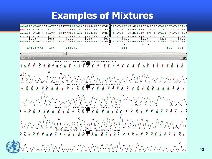 Examples of Mixtures 43 