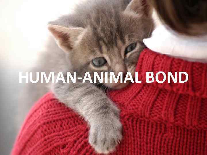 HUMAN-ANIMAL BOND 