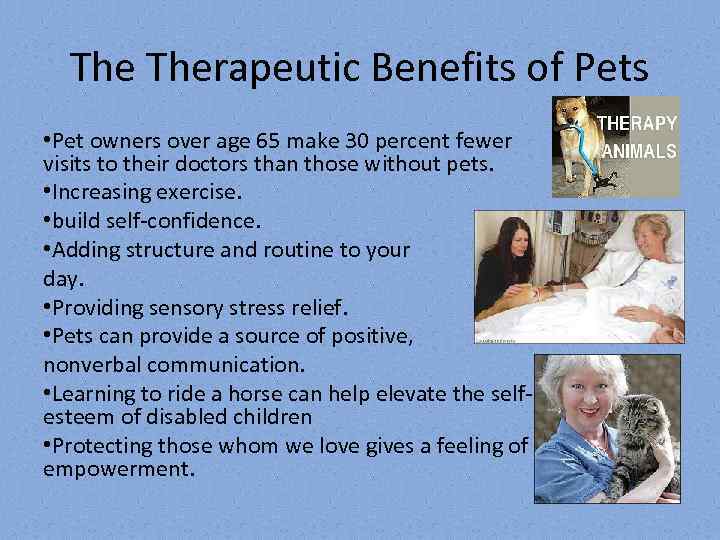 The Therapeutic Benefits of Pets • Pet owners over age 65 make 30 percent