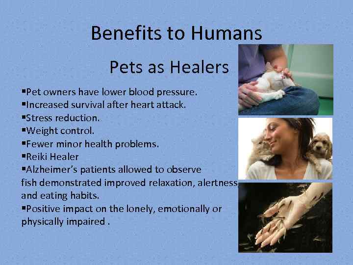 Benefits to Humans Pets as Healers §Pet owners have lower blood pressure. §Increased survival