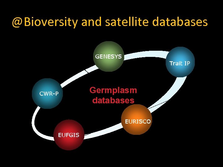 @Bioversity and satellite databases Pillars to information GENESYS CWR-P Trait IP Germplasm databases EURISCO