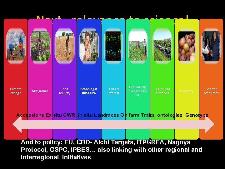 Next…relevance to science! Climate change Mitigation Food security Breeding & Research Traits of interest