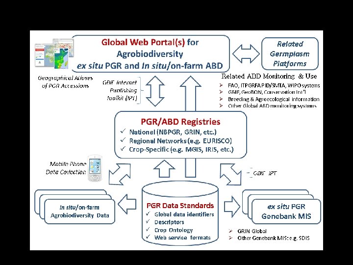 Vision: a Global Agrobiodiversity Information Facility 