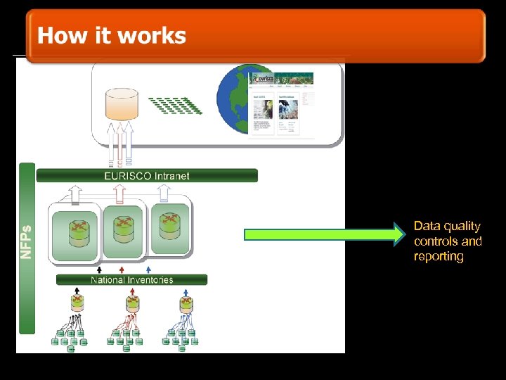 Data quality controls and reporting 
