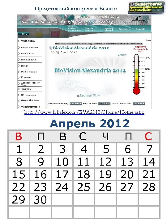 Предстоящий конгресс в Египте http: //www. bibalex. org/BVA 2012/Home. aspx В 1 8 15
