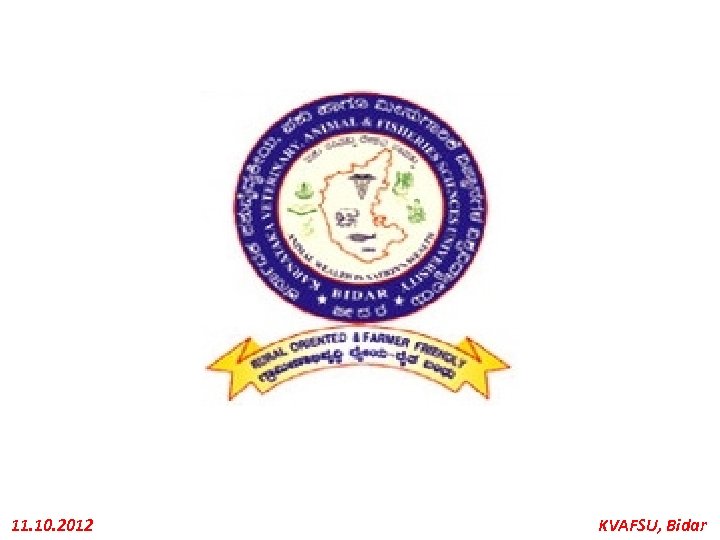 11. 10. 2012 KVAFSU, Bidar 
