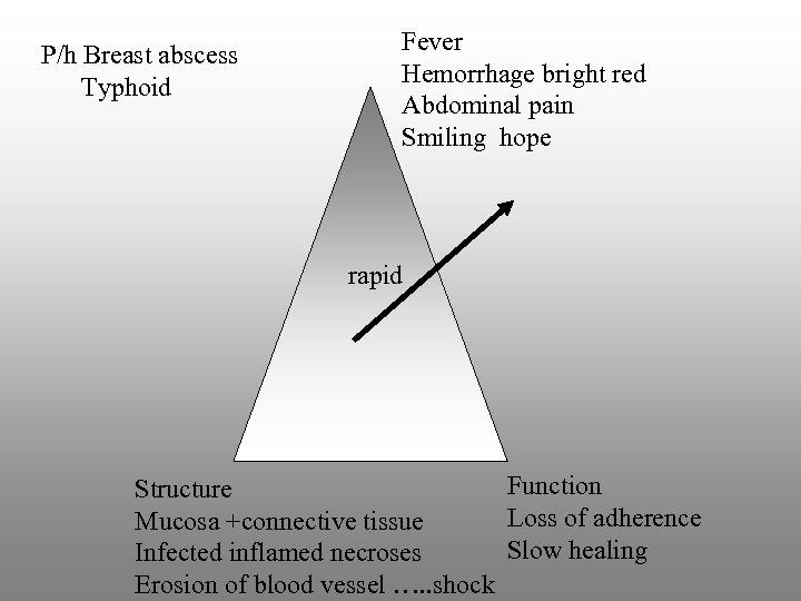 P/h Breast abscess Typhoid Fever Hemorrhage bright red Abdominal pain Smiling hope rapid Function