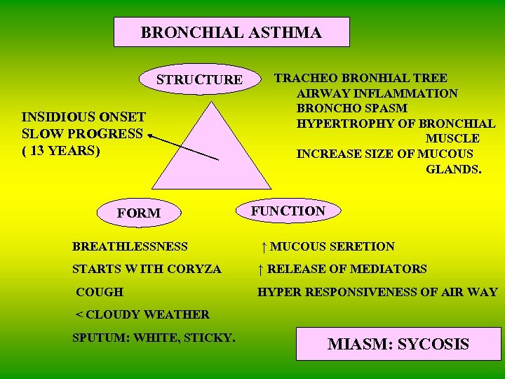 BRONCHIAL ASTHMA STRUCTURE INSIDIOUS ONSET SLOW PROGRESS ( 13 YEARS) FORM TRACHEO BRONHIAL TREE