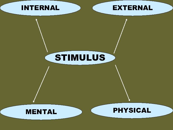 INTERNAL EXTERNAL STIMULUS external MENTAL physical PHYSICAL 