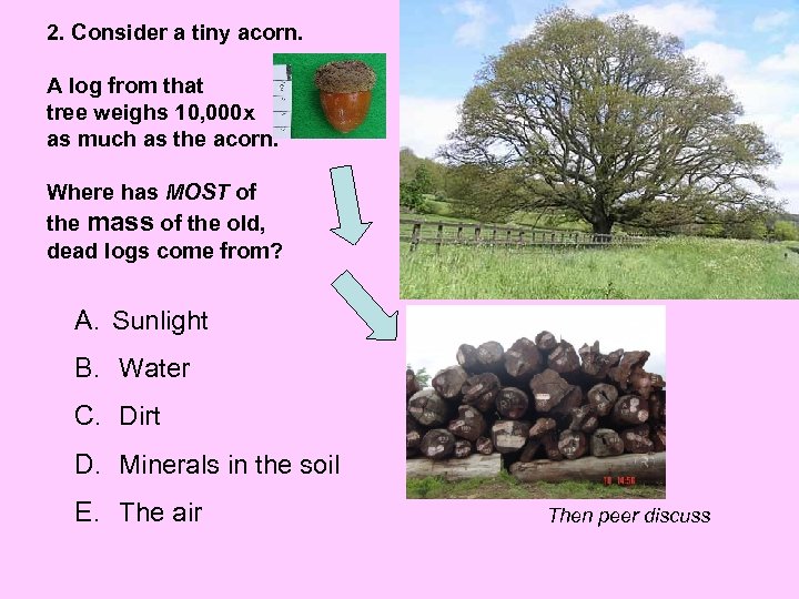 2. Consider a tiny acorn. A log from that tree weighs 10, 000 x
