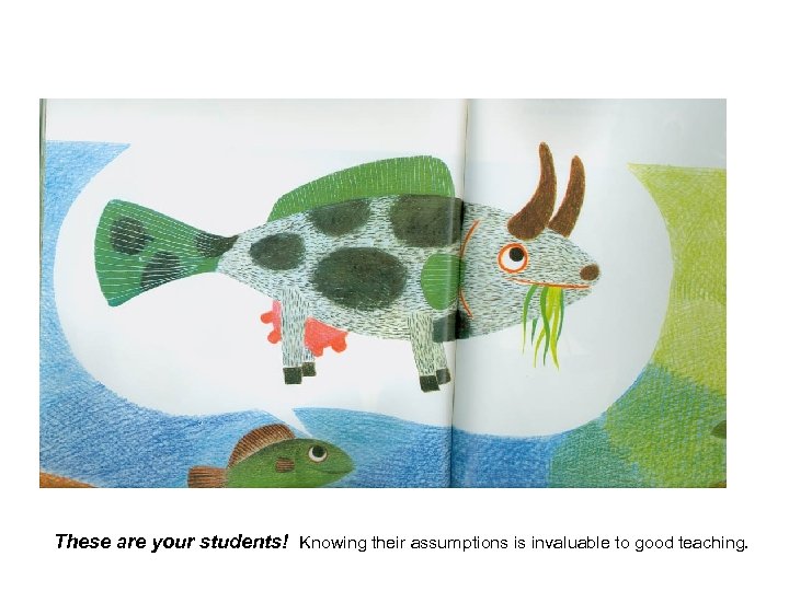 These are your students! Knowing their assumptions is invaluable to good teaching. 