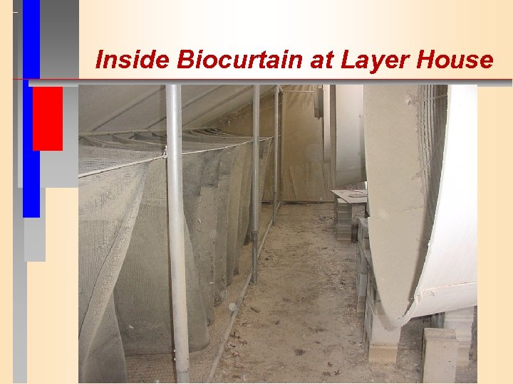 Inside Biocurtain at Layer House 